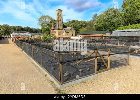 RHS Trials Area im alten Bauernhof und The Bothy, ein Gartenkesselhaus mit Kamin, RHS Garden Bridgewater Gardens, Greater Manchester, England, Großbritannien Stockfoto