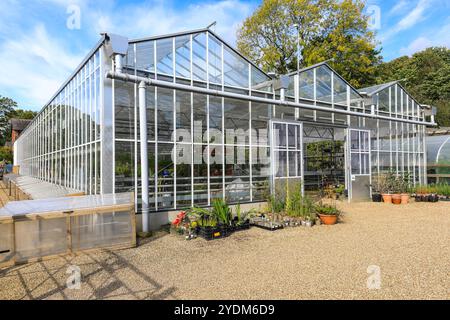 Gewächshäuser im RHS Garden Bridgewater Gardens, Worsley in Salford, Greater Manchester, England, Großbritannien Stockfoto