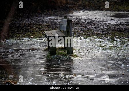 Verlassene und einsame Holzbank unter den Herbstbäumen im gefrorenen Wasser des Fimon Sees in Vicenza Stockfoto