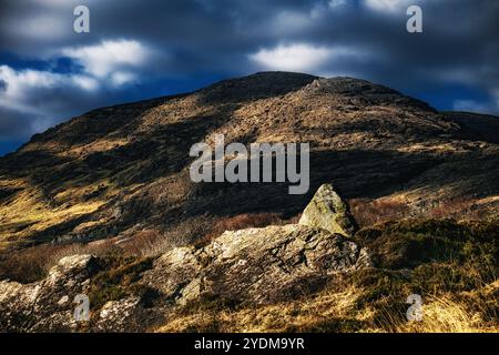 Ein großer, grauer Felsen liegt auf einem Hügel, der mit kurzem braunem Gras und trockener Vegetation bedeckt ist. Der Himmel ist bedeckt von dunklen Wolken. Stockfoto