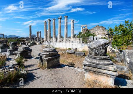 Die Ruinen der antiken Stadt Aphrodisias (Afrodisias) in der Türkei. Die Stadt wurde nach Aphrodite, der griechischen Göttin der Liebe, benannt Stockfoto