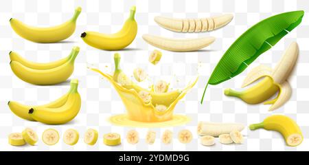 Bananenset isoliert auf transparentem Hintergrund. Eine ganze und halbe Banane, in Stücke geschnitten. Geschälte Banane und Banane in einem Spritzer Saft. Ein Blatt o Stock Vektor