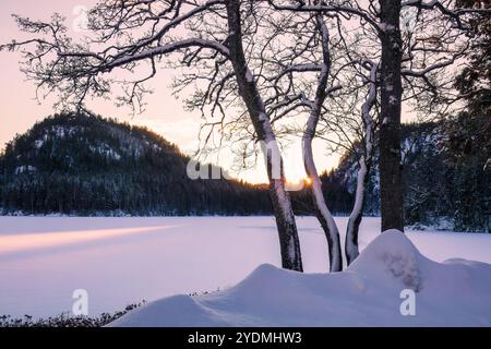 Schneebedeckte Bäume säumen einen gefrorenen See bei Sonnenaufgang und fangen die unberührte Schönheit des Winters ein. Konzept: Wintersonnenaufgang, ruhige Natur, unberührte Landschaften Stockfoto