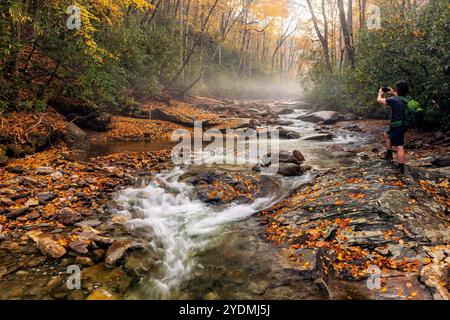 Wanderer, der Handyfotos von einer fließenden Kaskade auf dem Davidson River - Pisgah National Forest in der Nähe von Brevard, North Carolina, USA macht Stockfoto