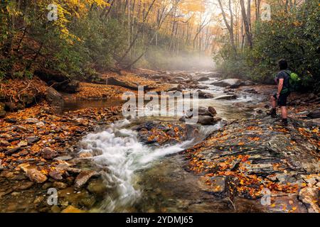 Wanderer, der an einem nebeligen Herbsttag neben einer fließenden Kaskade auf dem Davidson River steht - Pisgah National Forest, nahe Brevard, North Carolina, United St Stockfoto