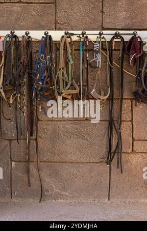 Eine Sammlung von verschiedenen Pferdehaltern und -Leitungen, die auf einer Wand in einem Stall organisiert sind Stockfoto