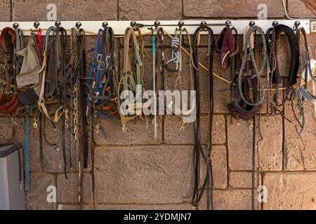 Eine Sammlung von verschiedenen Pferdehaltern und -Leitungen, die auf einer Wand in einem Stall organisiert sind Stockfoto