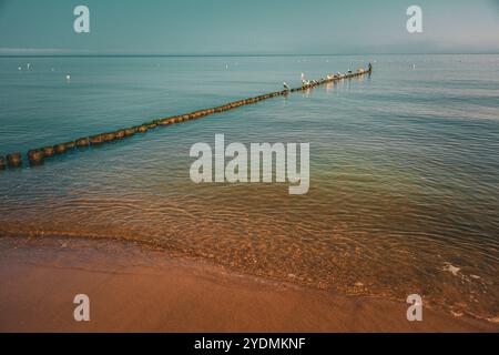 Ostseestrand, Usedom, Rügen, Deutschland, Europa Stockfoto