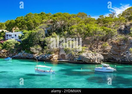 Wunderschöner Blick auf die felsige Küste mit Kiefern und das türkisfarbene Meer von Cala Figuera - Mallorca - 0022 Stockfoto