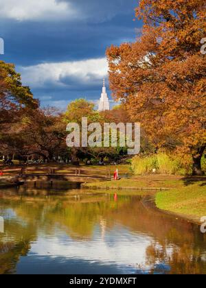 Herbst in Tokio. Wunderschöne herbstliche Blätter im Yoyogi Park in Shibuya Ward Stockfoto