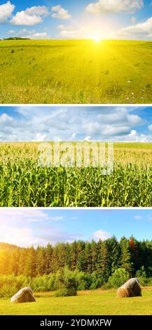 Felder, Wiesen und Weiden und helle Sonne auf blauem bewölktem Himmel. Collage. Vertikales Foto. Stockfoto