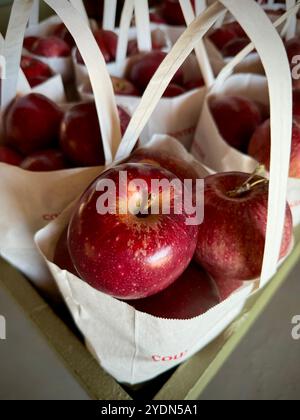 Hellrote Äpfel in rustikalen Markttaschen, bereit für Herbstvorstellungen, saisonale Rezepte oder frische Snacks. Perfekt für Bauernmärkte, Herbstdekor. Stockfoto