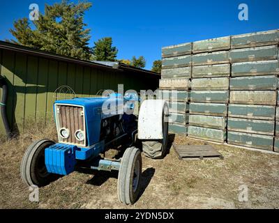 Blauer Ford-Traktor, der bei einem Stapel verwitterter Apfelkisten auf einer ländlichen Farm geparkt wird, hält rustikalen Charme und landwirtschaftliches Erbe in einem Herbstharv fest Stockfoto