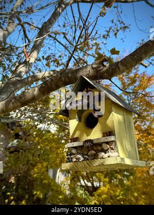 Rustikales, handgefertigtes Vogelhaus mit Kieseldetails, die im Herbst an einem Baumzweig hängen, umgeben von farbenfrohen Herbstlaub unter einem klaren blauen Himmel Stockfoto