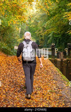 Mann, der auf einem Kanalweg läuft, der mit herbstlichen Blättern bedeckt ist Stockfoto