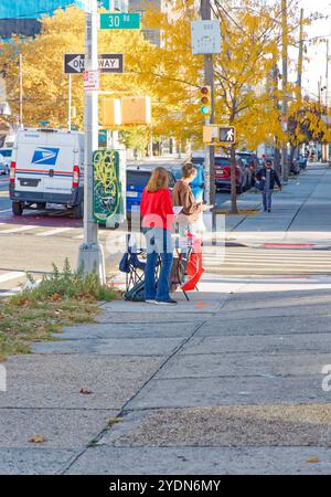 Wahlkampf: New York City Demokratische Sozialisten warten auf Wähler in Long Island City, Queens Early Voting Site, wo sie für Wahlvorschläge in New York City werben. Stockfoto