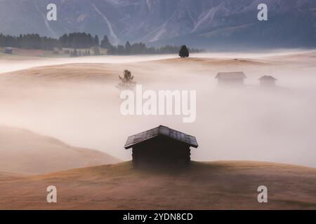 Idyllische Almwiese bei stimmungsvollem, atmosphärischem und nebeligem Sonnenaufgang auf der Seiser Alm mit urigen Hütten und Blick auf die Dolomiten Stockfoto