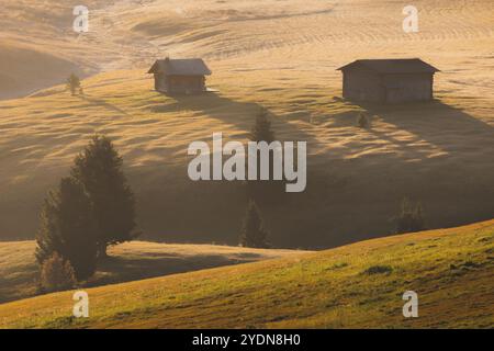 Goldenes Morgenlicht über urigen Hütten und sanften Wiesen auf der Seiser Alm, umgeben von den Dolomiten in Südtirol, Italien. Stockfoto