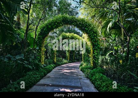 Singapur - 13. August 2024: Grün und Bäume im National Botanical Garden Singapur Stockfoto