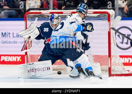 München, Deutschland. Oktober 2024. Daniel Schmoelz (ERC Ingolstadt Panther, #92) scheitert hier an Mathias Niederberger (Torwart, EHC Red Bull Muenchen, #35). GER, EHC Red Bull München vs. ERC Ingolstadt Panther, Eishockey, DEL, 13. Spieltag, Saison 2024/2025, 27.10.2024. Foto: Eibner-Pressefoto/Franz feiner Credit: dpa/Alamy Live News Stockfoto