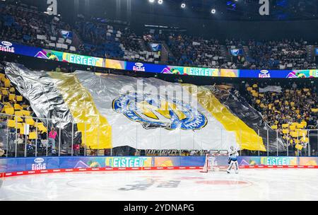 München, Deutschland. Oktober 2024. Choreographie in der Münchner Nordkurve waehrend der beginnenden sechs. GER, EHC Red Bull München vs. ERC Ingolstadt Panther, Eishockey, DEL, 13. Spieltag, Saison 2024/2025, 27.10.2024. Foto: Eibner-Pressefoto/Franz feiner Credit: dpa/Alamy Live News Stockfoto