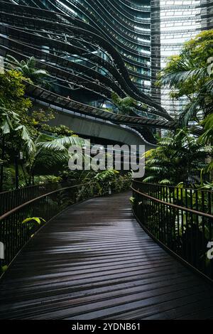 Singapur - 13. August 2024: Die Architektur und der Garten der Marina One Residences mit einem zentralen Garten und Wanderwegen im Innenhof Stockfoto