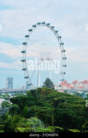 Singapur - 16. August 2024: Das Singapore Flyer Ferris Rad auf der Marina Bay Stockfoto