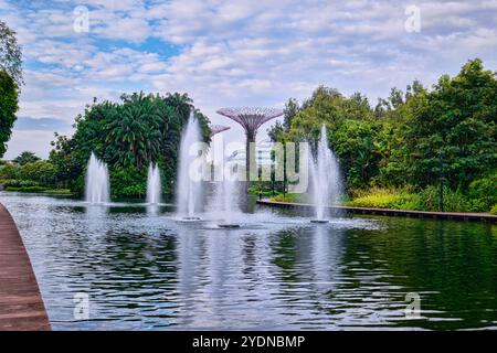 Singapur - 19. August 2024: Dragonfly Lake im Botanischen Garten, Gardens by the Bay Stockfoto