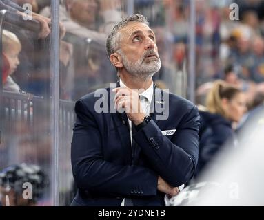 Mark French (Cheftrainer, ERC Ingolstadt Panther). GER, EHC Red Bull München vs. ERC Ingolstadt Panther, Eishockey, DEL, 13. Spieltag, Saison 2024/2025, 27.10.2024. Foto: Eibner-Pressefoto/Franz Feiner Stockfoto