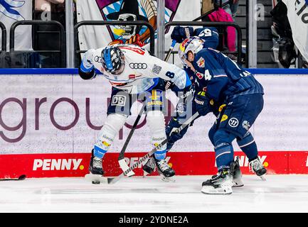 Kampf um den Puck von Philipp Krauss (ERC Ingolstadt Panther, #8) mit Patrick Hager (EHC Red Bull Muenchen, #52) und Les Lancaster (EHC Red Bull Muenchen, #74). GER, EHC Red Bull München vs. ERC Ingolstadt Panther, Eishockey, DEL, 13. Spieltag, Saison 2024/2025, 27.10.2024. Foto: Eibner-Pressefoto/Franz Feiner Stockfoto