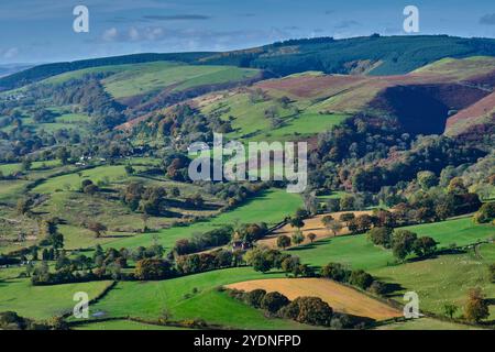 Callow Hollow, Packetstone Hill und der Weiler Minton am Long Mynd, in der Nähe von Little Stretton, Church Stretton, Shropshire Stockfoto