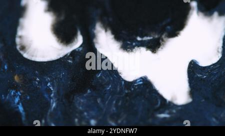 Glitzer Tropf Art. Zauberacrylverschüttung. Defokussierte schwarze weiße dunkelblaue Farbe flüssige Tinte Fluss schimmernde Tropfenwelle abstrakter Hintergrund. Stockfoto