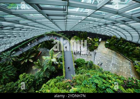 Singapur - 18. August 2024: Cloud Forest and Flower Dome Gewächshäuser in Gardens by the Bay Stockfoto