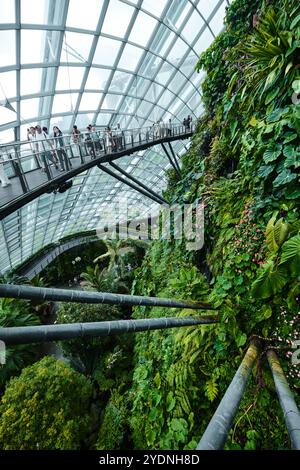 Singapur - 18. August 2024: Cloud Forest and Flower Dome Gewächshäuser in Gardens by the Bay Stockfoto