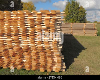 Übereinander gestapelte hölzerne, schmale Dielen liegen auf Gras vor Laubbäumen und bewölktem Himmel, Baumaterialien Stockfoto