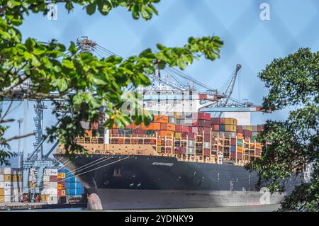 Navegantes-sc, brasilien-oktober 25,2024 dieses Bild zeigt ein Containerfrachtschiff, das im Hafen von Itajaí in Santa Catarina, Brasilien angedockt ist und mit Co beladen ist Stockfoto