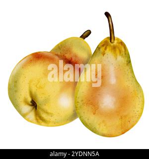 Zusammensetzung zweier Birnen. Grüne Früchte mit rotem Fleck. Reife saftige Früchte. Aquarellabbildung ohne Hintergrund Stockfoto