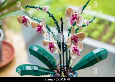 Prag, Tschechische republik - 8. Mai 2024: Umweltfreundliche Dekorative Orchidee aus Lego-Ziegeln Stockfoto