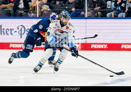 Wojciech Stachowiak (ERC Ingolstadt Panther, #19) verfolgt von Tobias Rieder (EHC Red Bull Muenchen, #8). GER, EHC Red Bull München vs. ERC Ingolstadt Panther, Eishockey, DEL, 13. Spieltag, Saison 2024/2025, 27.10.2024. Foto: Eibner-Pressefoto/Franz Feiner Stockfoto