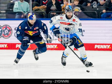 Wojciech Stachowiak (ERC Ingolstadt Panther, #19) verfolgt von Tobias Rieder (EHC Red Bull Muenchen, #8). GER, EHC Red Bull München vs. ERC Ingolstadt Panther, Eishockey, DEL, 13. Spieltag, Saison 2024/2025, 27.10.2024. Foto: Eibner-Pressefoto/Franz Feiner Stockfoto