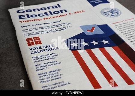 2024 Wahlbeispiele für die US-Präsidentschaftswahlen und Wählerinformationsblatt Stockfoto