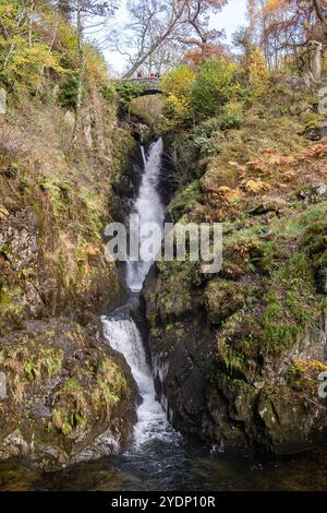 Der Wasserfall der Aira Force durchfließt die herbstliche Landschaft des Lake District in Cumbria, England. Stockfoto
