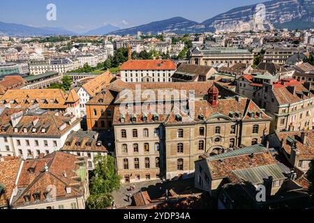 Blick auf die Altstadt und das historische Gebäude vom Glockenturm des Petersdoms in Genf, Schweiz. Stockfoto