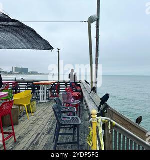 61st Street Fishing Pier, Galveston, Texas, USA, Nordamerika Stockfoto