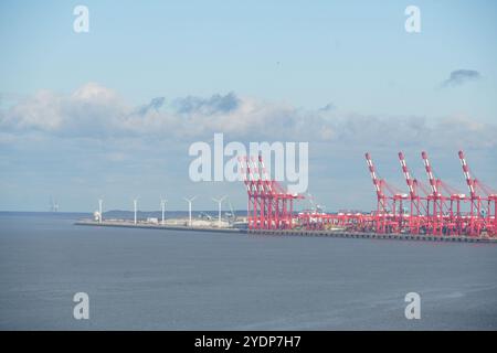 Liverpool Containerterminal freeport, nördlich von Evertons neuem Bramley Moore Stadion, Merseyside, Liverpool, England Stockfoto