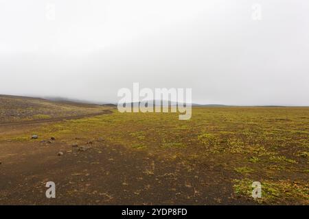 Island Landschaft. Thrihyrningsvatn Lakeshore, Zentral-Island. Isländische Landschaft Stockfoto