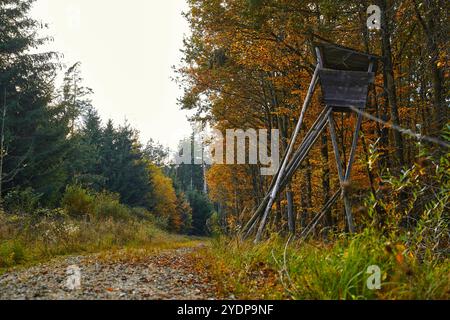 Bayern, Deutschland - 27. Oktober 2024: Jägerstand im Herbstwald, idyllische Naturatmosphäre mit goldenen Blättern *** Jägerstand im herbstlichen Wald, idyllische Naturstimmung mit goldenem Laub Stockfoto