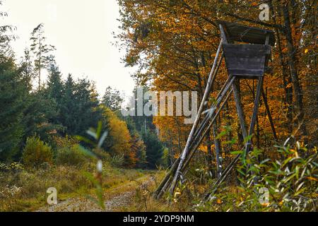 Bayern, Deutschland - 27. Oktober 2024: Jägerstand im Herbstwald, idyllische Naturatmosphäre mit goldenen Blättern *** Jägerstand im herbstlichen Wald, idyllische Naturstimmung mit goldenem Laub Stockfoto