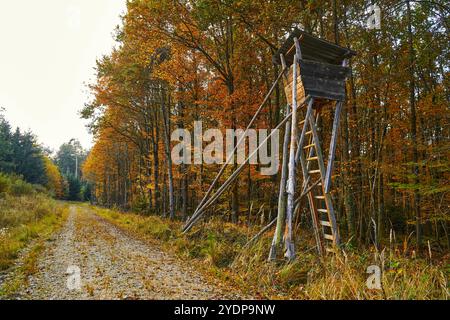 Bayern, Deutschland - 27. Oktober 2024: Jägerstand im Herbstwald, idyllische Naturatmosphäre mit goldenen Blättern *** Jägerstand im herbstlichen Wald, idyllische Naturstimmung mit goldenem Laub Stockfoto