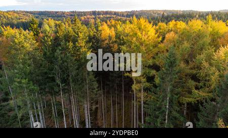 Augsburg Land, Bayern, Deutschland - 27. Oktober 2024: Dichte Bäume im Wald oder Waldgebiet im Herbst. Satte grüne und gelbe Farben künden den symbolischen Herbst an. Luftaufnahme einer Drohne oder Luftaufnahme. *** Dichter Bäume im Wald, bzw. Waldgebiet im Herbst. Satte grüne und gelbe Farben läuten den symbolisch Herbst ein. Luftbild einer Drohne, bzw. Luftaufnahme. Stockfoto